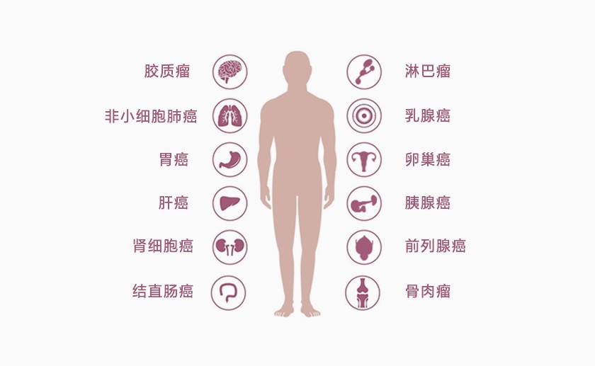 疑难罕见肿瘤